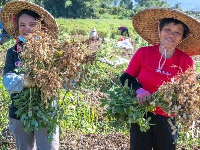 视频+图｜这，才是平远东石的“爱豆”