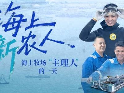伶仃洋上的“钢铁岛屿”：三位海洋牧场“主理人”的牧渔日记 | 海上新农人④