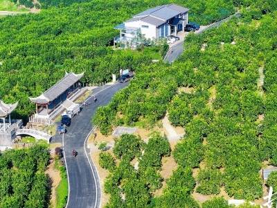 时客评论｜一柚牵城乡 三产同兴旺