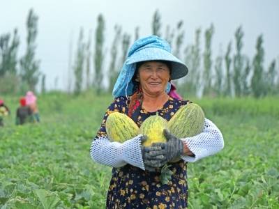 “疆品南下 粤品北上”：“三力”练就跨越山海的百亿工程