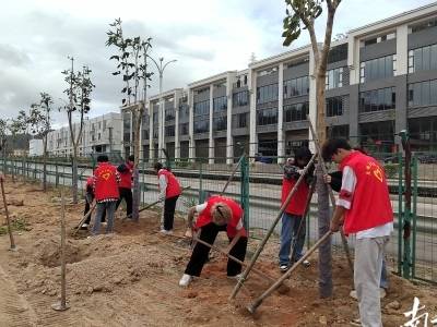 梅州“心苗计划”——未成年社区矫正对象心理重塑行动收官