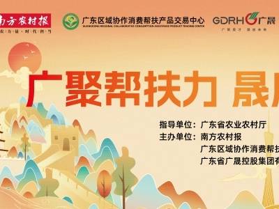 广聚帮扶力，晟启振兴路！沉浸式消费帮扶市集等你来购