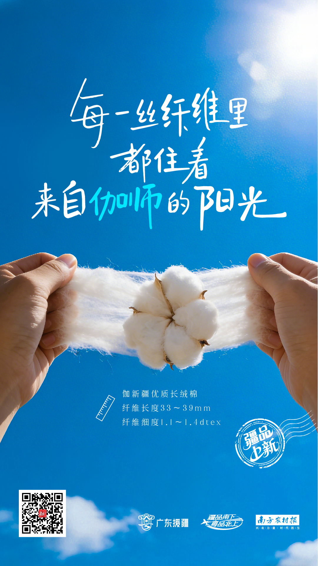 每一丝纤维里，都住着来自伽师的阳光