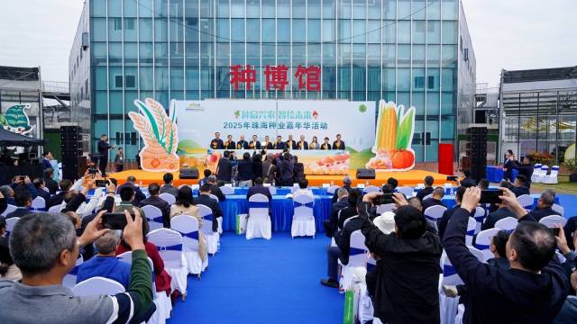 启动仪式 启动仪式