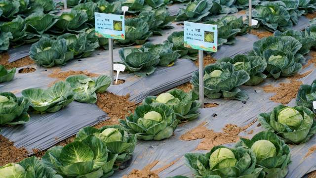 地展展示 地展展示