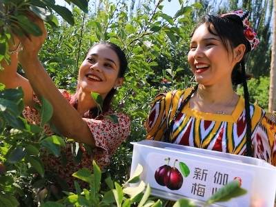 这些新打法，让“十四五”广东援疆工作迈上新台阶