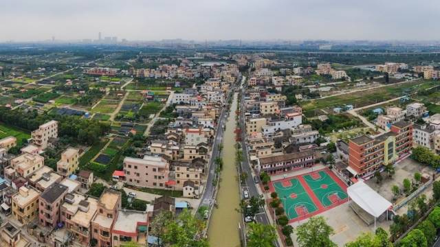 五沙村：擦亮农文旅招牌，绘就水乡绿美色｜百千万 横栏范