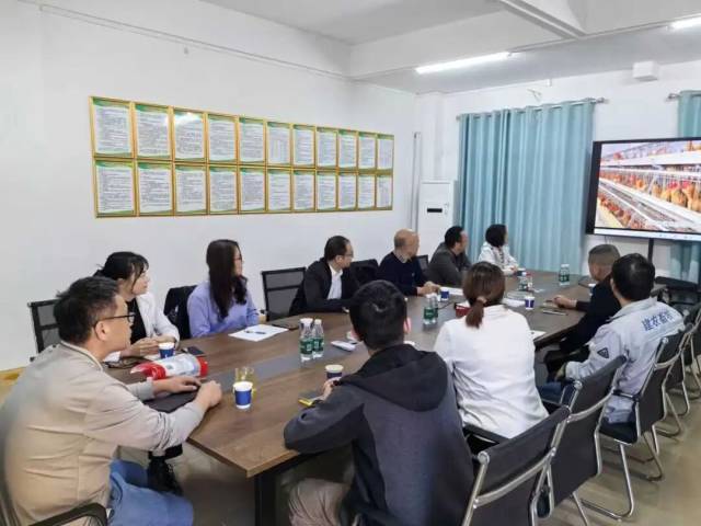 广东省农科院专家赴惠州市博罗县开展黄羽鸡产业全链深度调研