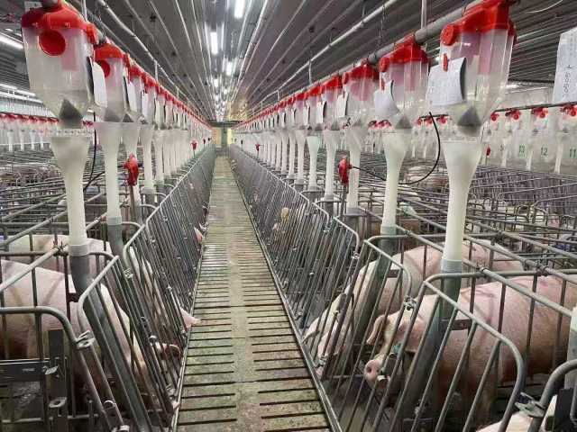 智能化养殖车间 智能化养殖车间