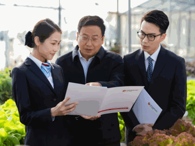 五篇大文章“莞”察｜东莞探索绿色金融新范式