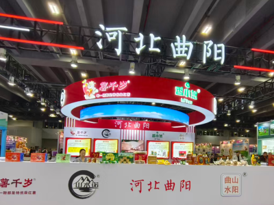 “媒体+”赋能“北岳风物”南下，曲阳“四宝”亮相大湾区农交会