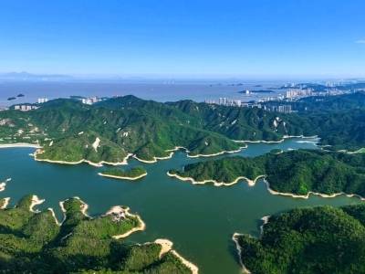 多措并举，向绿而兴：珠海扎实推进森林可持续经营