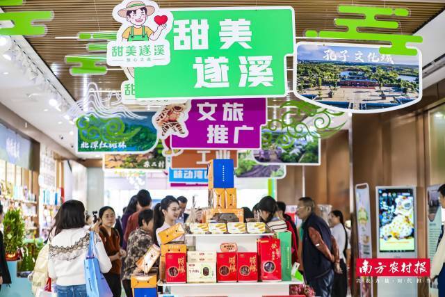 “甜美遂溪”专场