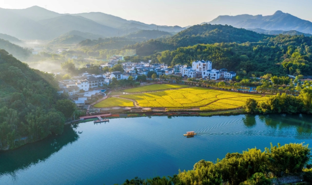 米埗村正逐步走向农文旅融合发展阶段。（受访者供图）