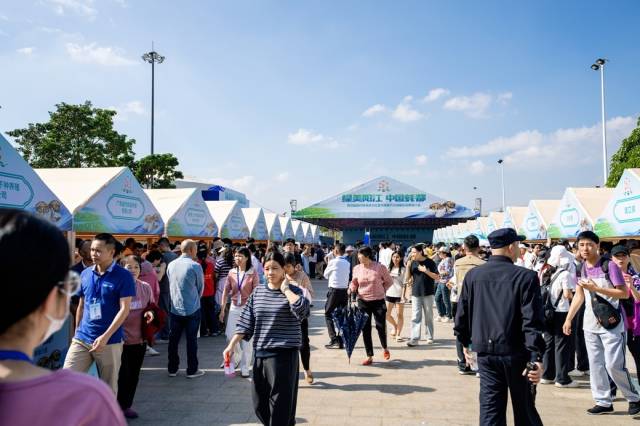 展示展销活动现场（阳西县融媒体中心供图）