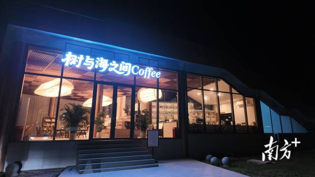 红光村的“树与海之间”咖啡馆，如今已成为“网红”打卡点。
