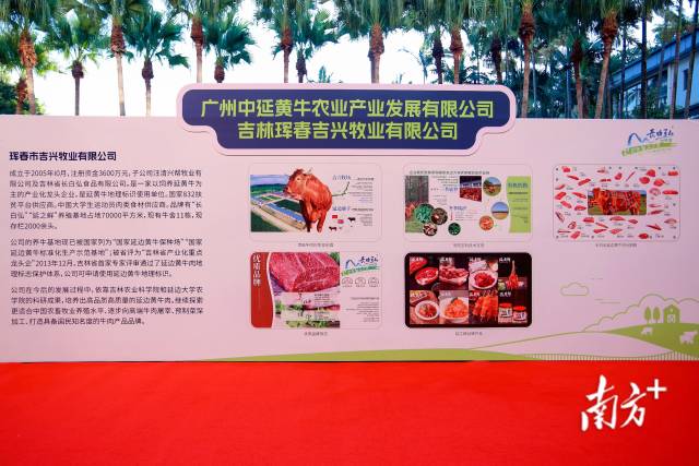 吉林产区代表企业的内容展示。