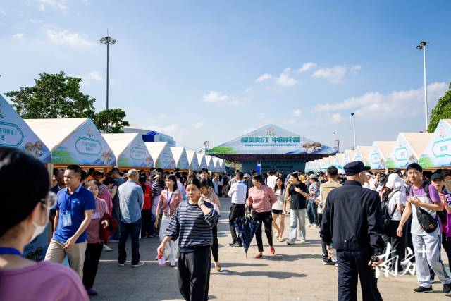 预计2025年，红光村旅游人数和旅游收入均为2022年的20倍以上。