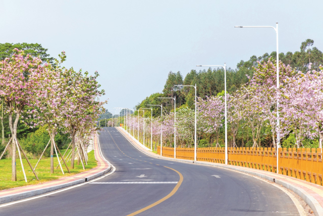 “环罗浮山”乡村振兴示范带一号公路。（受访者供图）