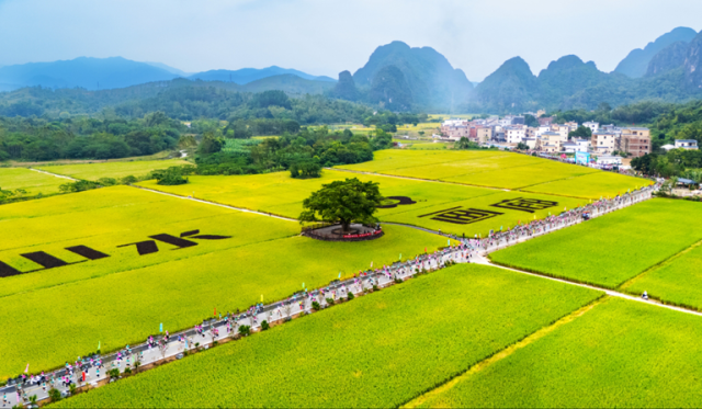 山水画廊示范带。 山水画廊示范带。