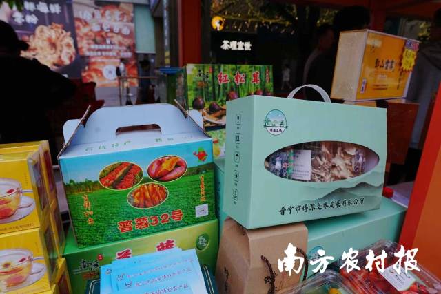 南方农村报 王富迪 拍摄