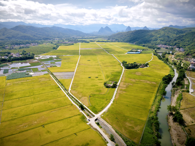 曲江大塘镇开展全域土地综合整治，在塘口村打造“千亩方”农田。