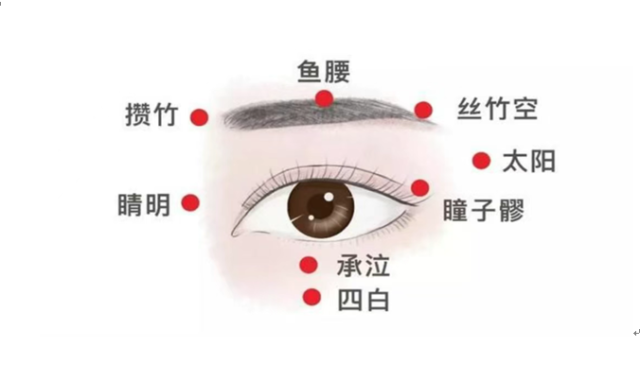 中医智慧为青少年点亮“睛”彩未来