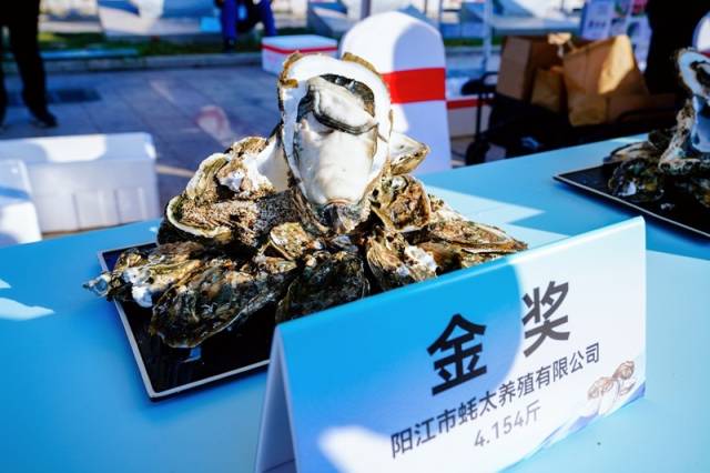 “蚝王”金奖（阳西县融媒体中心供图）