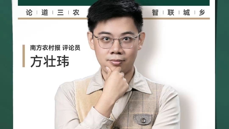 兴农评 | 梅岭深山“考研村”： 奋斗与振兴双向奔赴