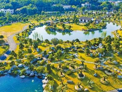 百千万 焕新貌 ：光影见证县镇村蝶变