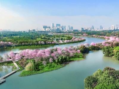 从承压到领跑：城乡融合的海珠实践｜百千万 见成效