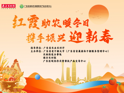 红霞映暖冬 助农迎新春！岁末暖心好物等您来购