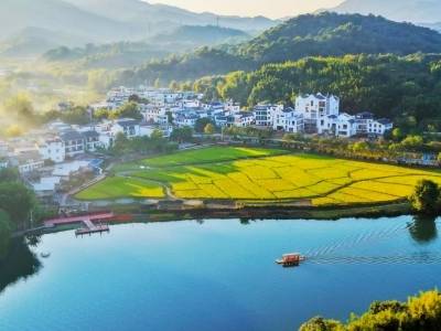 广州从化：筑牢生态根基，培育发展新动能｜百千万 见成效