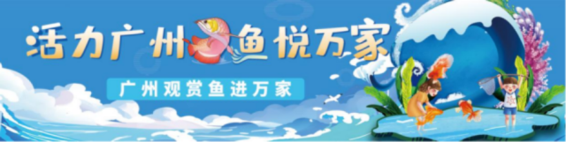 广州观赏鱼“游”进社区掀热潮，本周三活动精彩再续