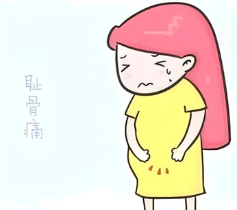 产后耻骨联合分离：早知道早预防早康复