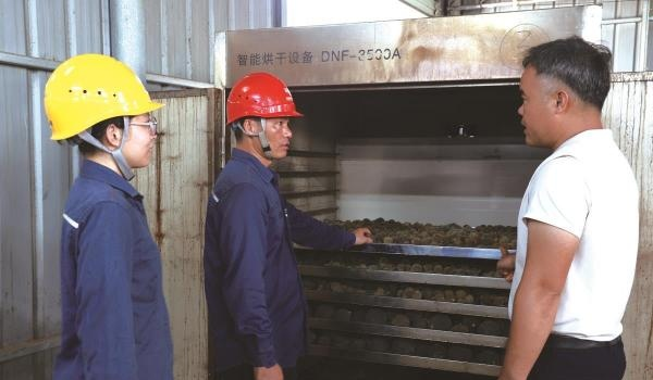 茂名化州平定镇化橘红电烤烘干设备
