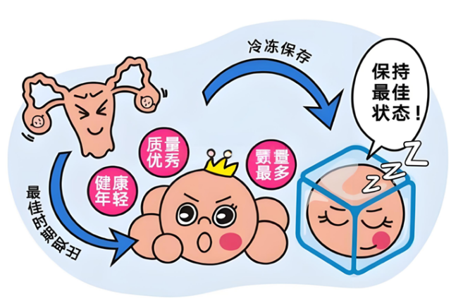 冻胚复苏：-196℃睡个觉，醒来直接“穿越”到妈妈肚子里！