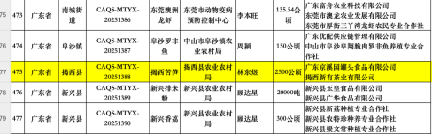 揭西苦笋成功上榜 揭西苦笋成功上榜