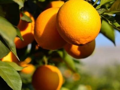 甜~蜜~蜜~地~来~了~