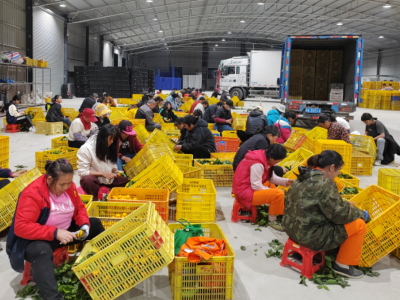 基层善治、共建共享！为“百千万工程”赋能增效，省委社会工作部出实招