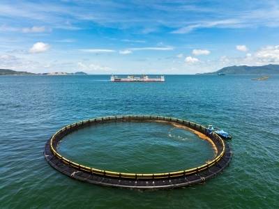 南方+拍客带你近距离感受“智慧粮仓”格盛1号 | 海上新广东