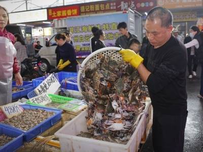 视频｜广湛高铁开通，湛江海鲜95分钟直达广州，多个海鲜品类降价