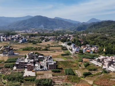 这5个故事，见证共富路上的省会担当｜百千万 广州范