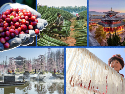 看图学习·回眸2025丨打好乡村振兴的“王牌” 总书记这样勉励大家