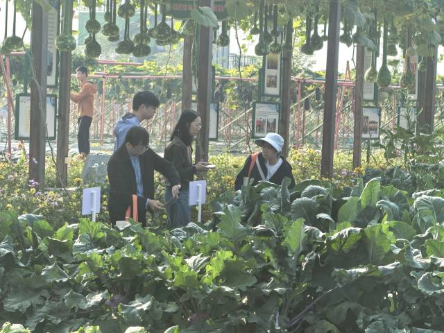 南方农村报 张植宏 拍摄