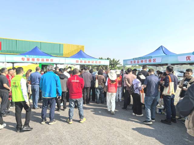 南方农村报 张植宏 拍摄