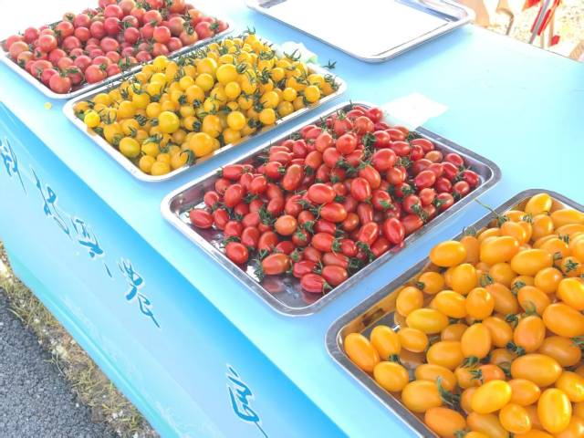 南方农村报 张植宏 拍摄