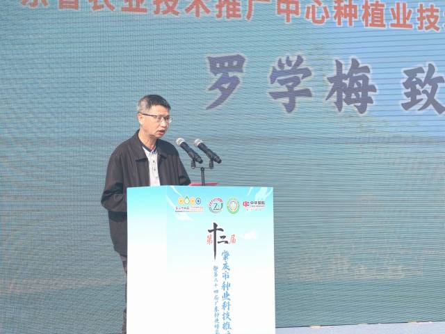 广东省农业技术推广中心种植业技术与种业推广部部长罗学梅