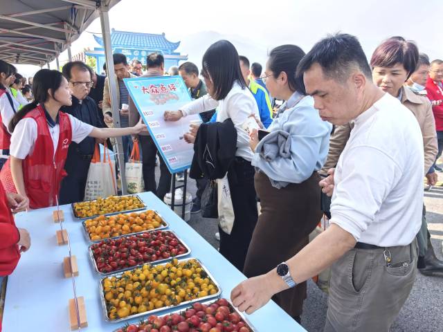 南方农村报 张植宏 拍摄