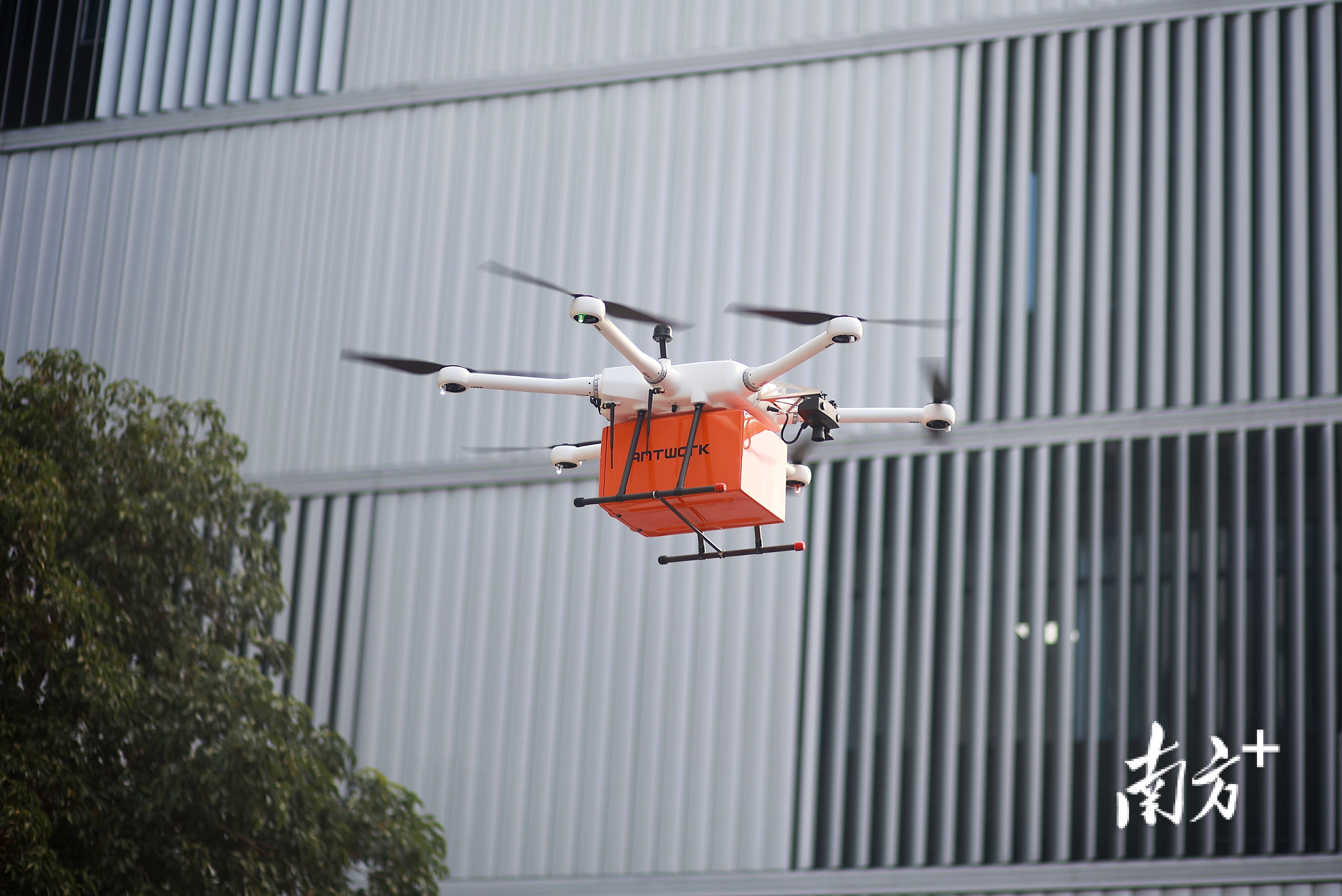 无人机携带着血浆平稳起飞。&nbsp; &nbsp; 顺德政数局供图。